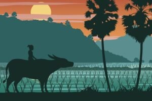 TEFL Teaching in Vietnam