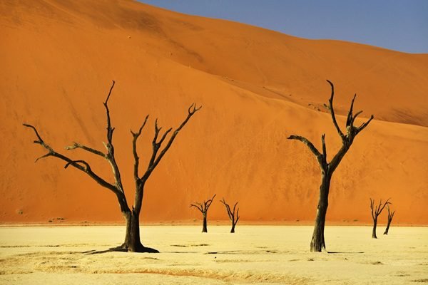 Cheapest TEFL course online from studyTEFL is just $33