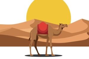 TEFL Teaching in Morocco